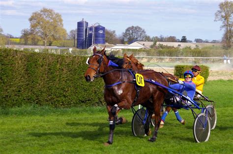 le trot|le trot course du jour.